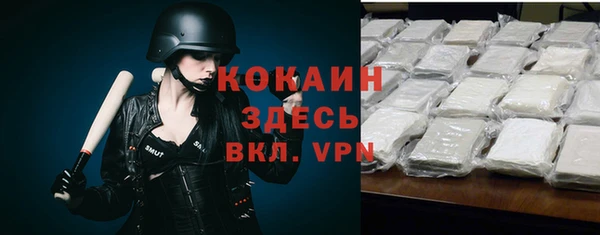 дмт Вяземский