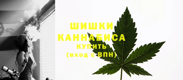 хмурый Волосово