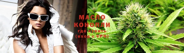 дмт Вяземский