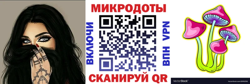 Купить  Козловка  Псилоцибиновые грибы Cubensis 